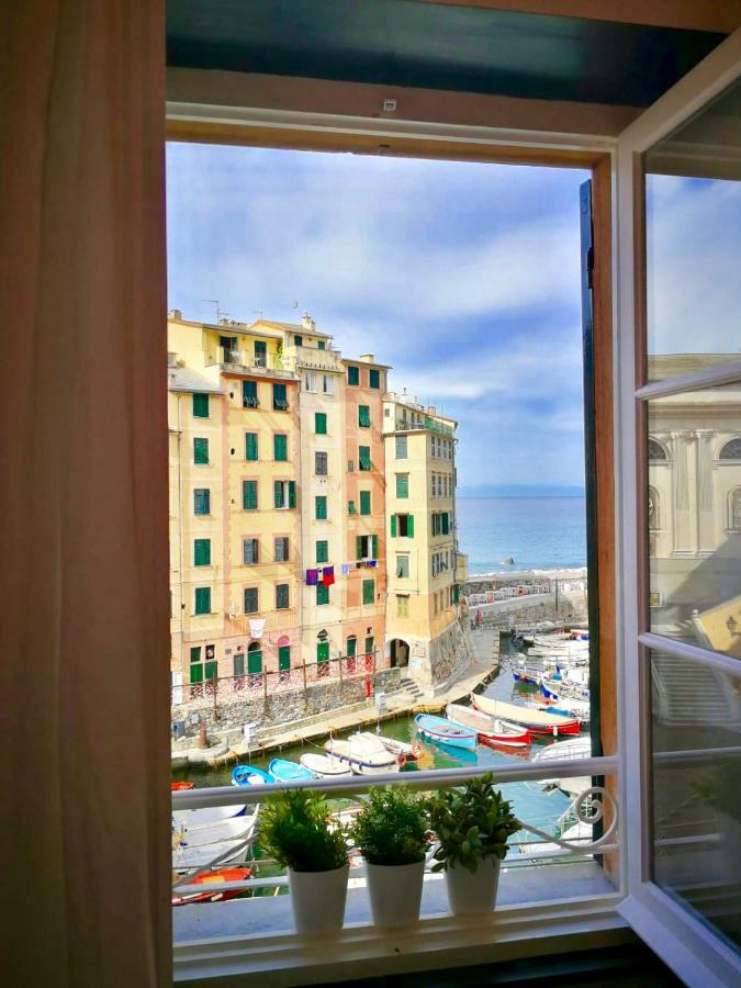 Sguardo Sul Porto Daire Camogli Dış mekan fotoğraf