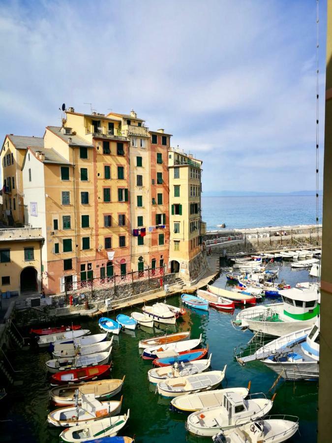 Sguardo Sul Porto Daire Camogli Dış mekan fotoğraf
