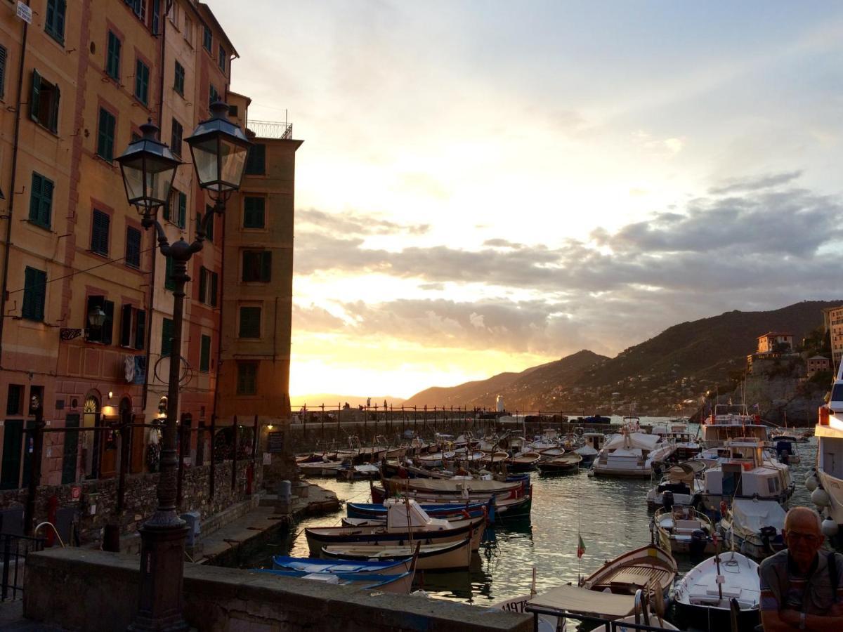 Sguardo Sul Porto Daire Camogli Dış mekan fotoğraf