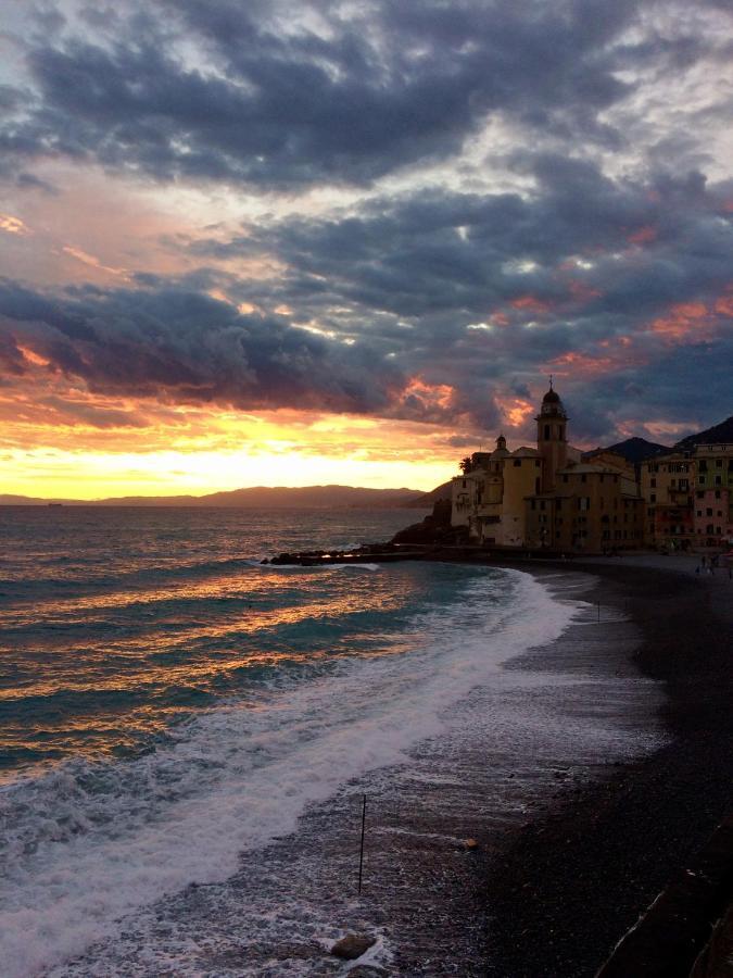 Sguardo Sul Porto Daire Camogli Dış mekan fotoğraf